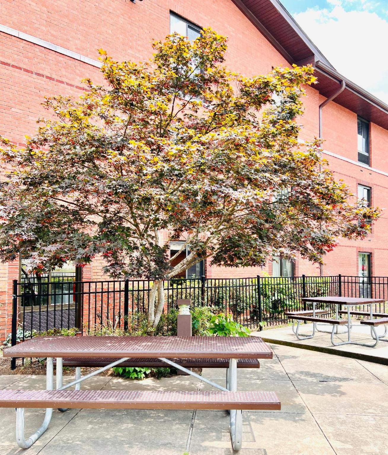 Mainstay Suites Little Rock West Near Medical Centers Exterior photo